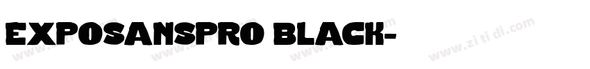 exposanspro black字体转换